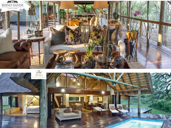 Wildlife conservation safari in South Africa