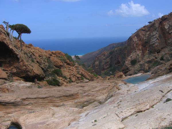 Socotra holiday in Yemen