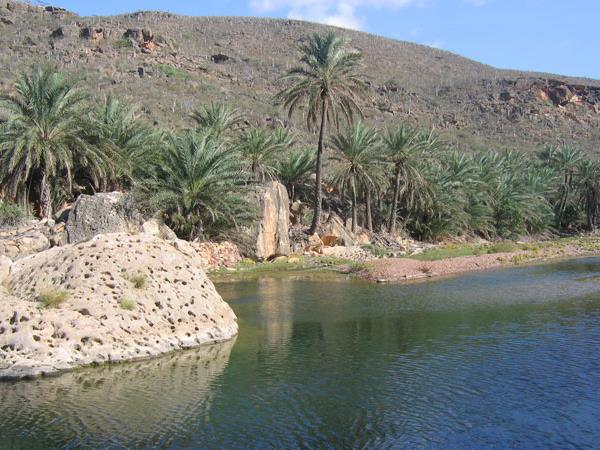 Socotra holiday in Yemen