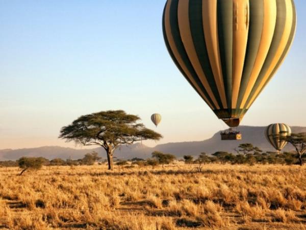 Kenya and Tanzania great migration safari