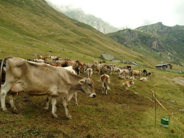 Italian Alps hiking vacation