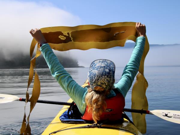 Orca family kayaking tour, Vancouver Island