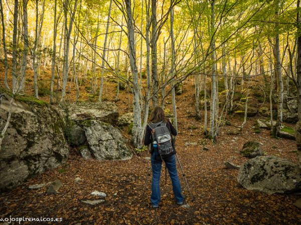 Learn spanish and walking vacation in the spanish Pyrenees