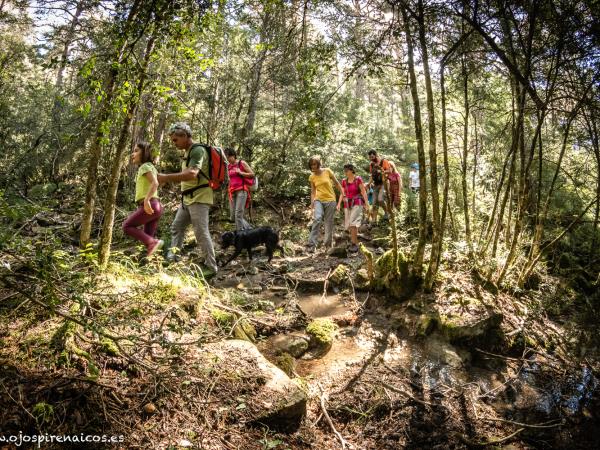 Learn spanish and walking vacation in the spanish Pyrenees