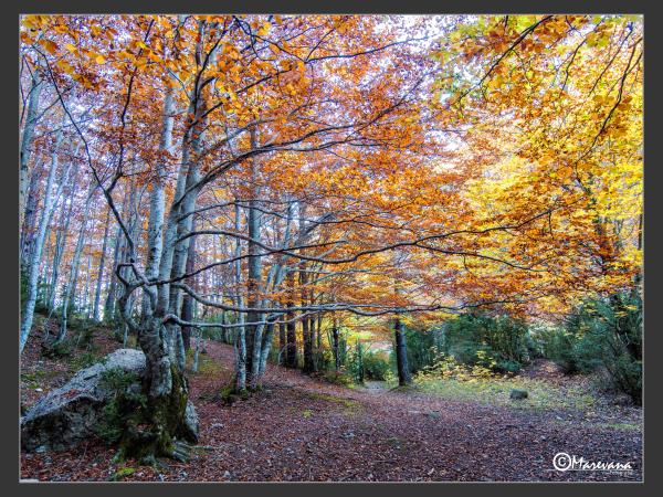 Learn spanish and walking vacation in the spanish Pyrenees