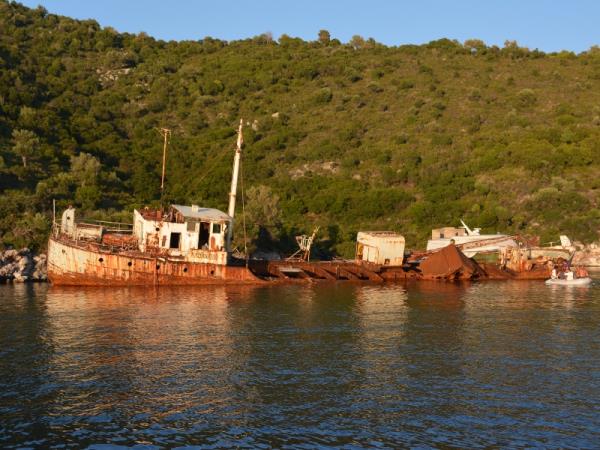 Dolphin conservation vacation in Greece