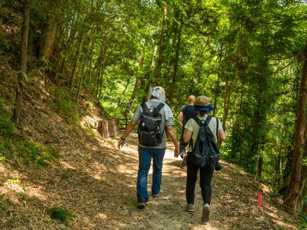 Japan walking and culture tour, Nakasendo & Kiso Valley