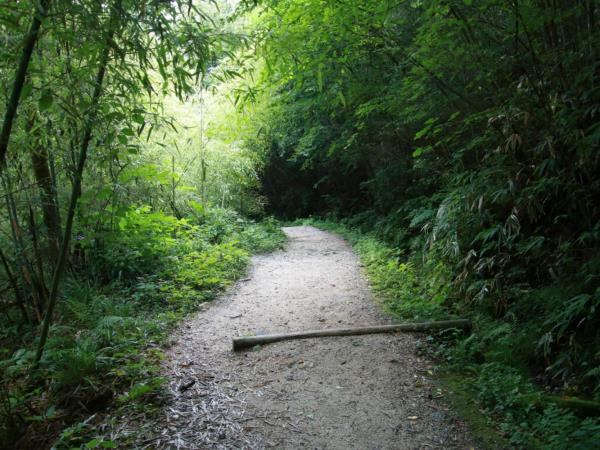 Japan walking and culture tour, Nakasendo & Kiso Valley