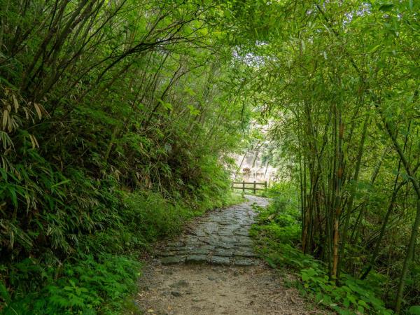 Japan walking and culture tour, Nakasendo & Kiso Valley