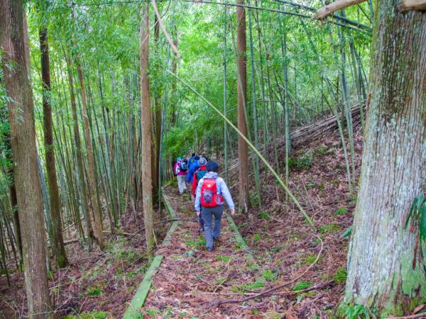 Japan walking and culture tour, Nakasendo & Kiso Valley
