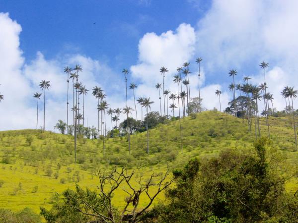 Colombia luxury tailor made vacation