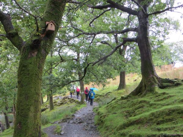 Womens activity vacation in the Lake District