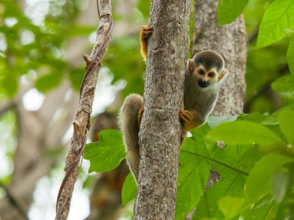 Costa Rica luxury vacation