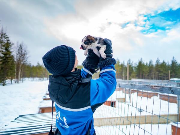 Christmas in Lapland vacation