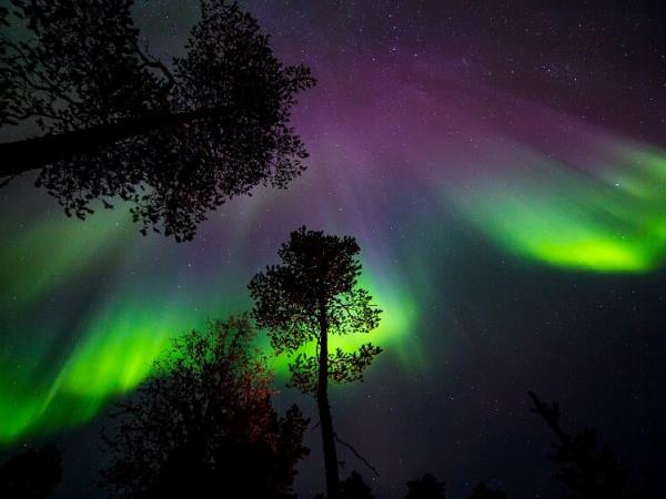 Christmas in Lapland vacation