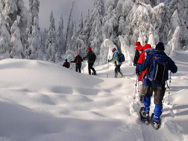 Christmas in Lapland vacation
