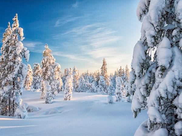 Christmas in Lapland vacation
