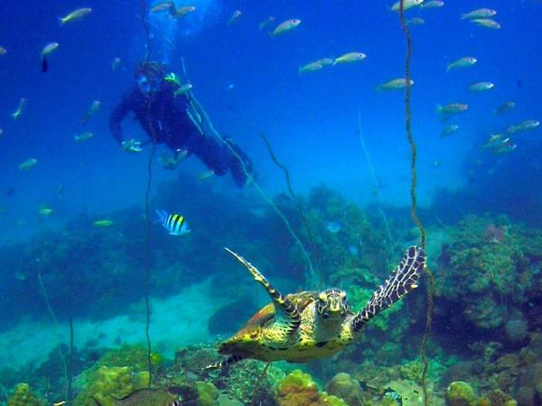 Tailor made vacation in Madagascar