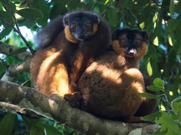Tailor made vacation in Madagascar