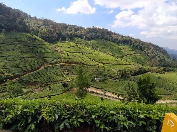 South India cycling tour