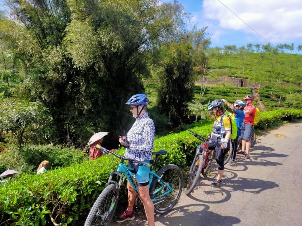 South India cycling tour