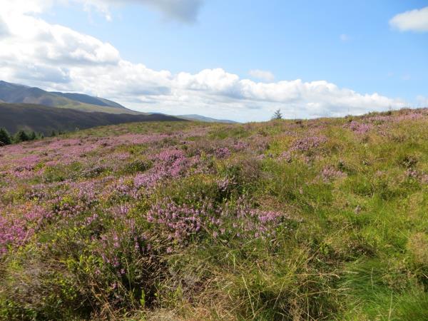 Lake District walking vacation