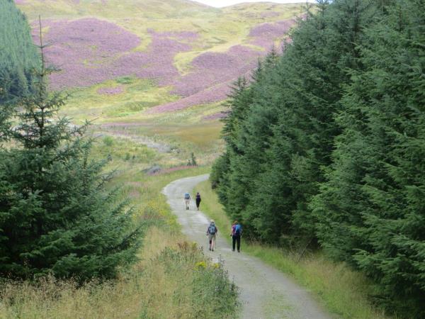 Lake District walking vacation