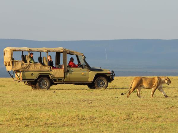 Kenya safari vacation, tailor made