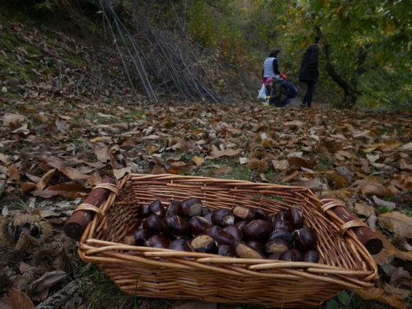 Hiking in Peloponnese vacation, Parnon Mountain