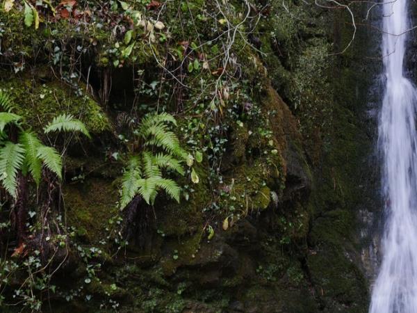 Hiking in Peloponnese vacation, Parnon Mountain