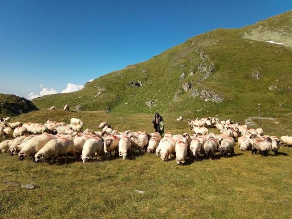 Transylvanian Alps trekking vacation