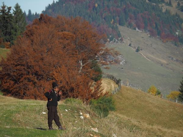 Carpathian mountains vacation in Romania