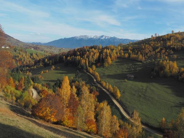 Carpathian mountains vacation in Romania