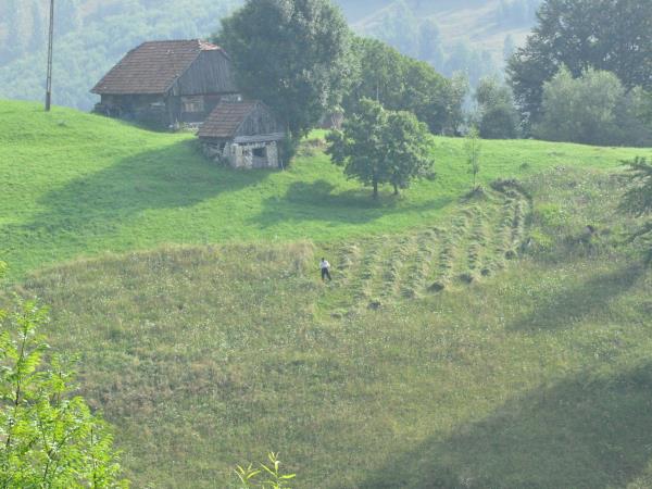 Carpathian mountains vacation in Romania