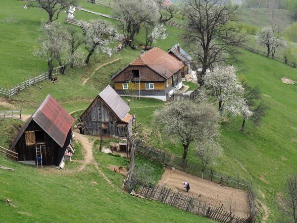 Carpathian mountains vacation in Romania