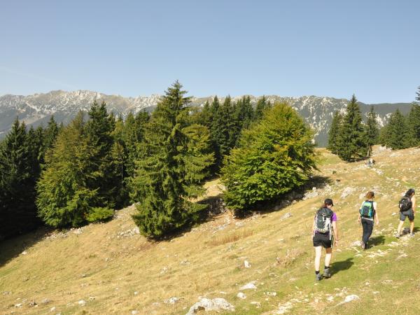 Walking vacation in Romania National Parks