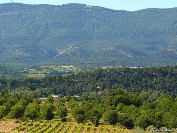 Provence wine tour