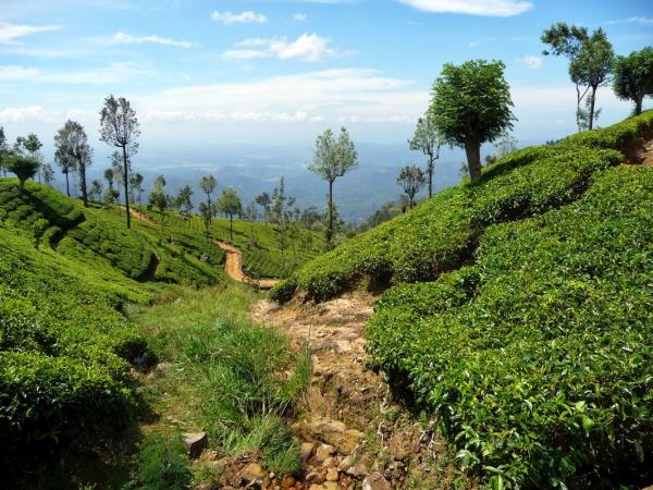 Sri Lanka walking vacation
