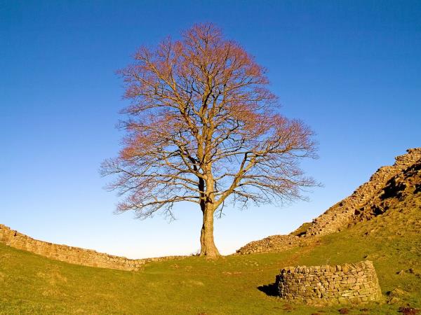 Hadrian's Wall National Trail walking vacation