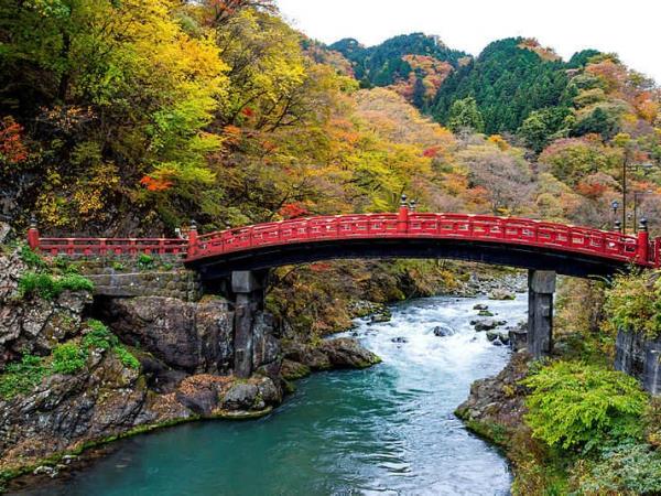 Highlights of Japan small group tour