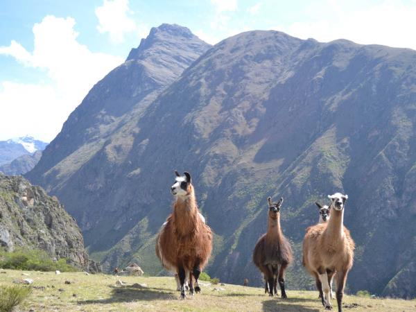 Sacred Valley and Inca Trail holiday