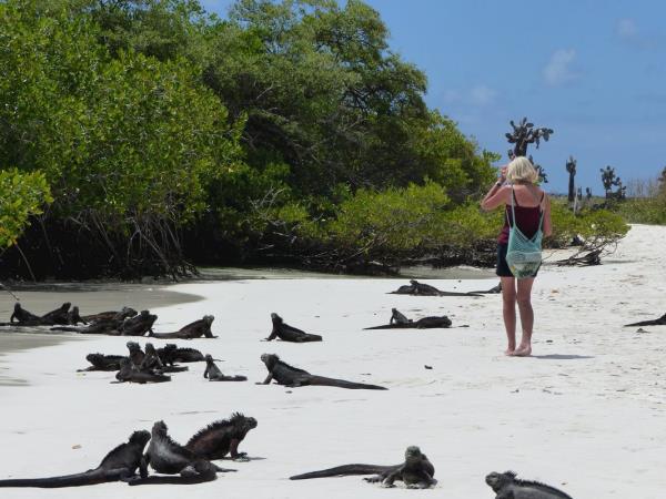 Ecuador and the Galapagos Islands hiking vacation