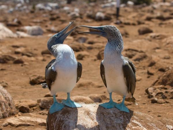Ecuador and the Galapagos Islands hiking vacation