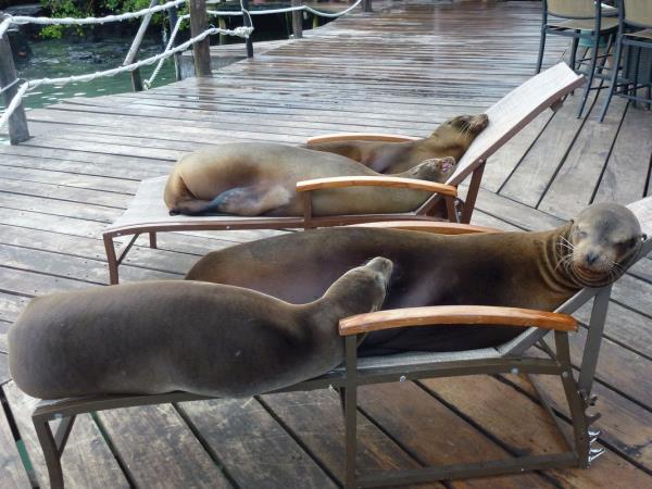 Ecuador and the Galapagos Islands hiking vacation