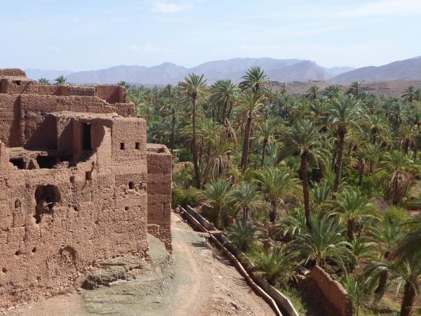 Painting vacation in Morocco