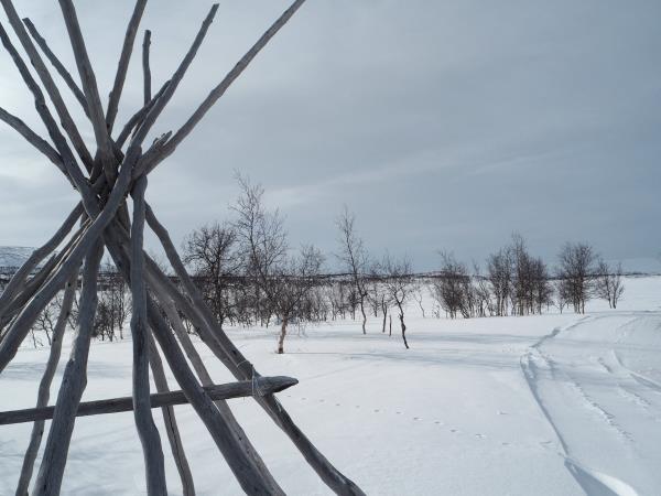 Guided winter vacation in Lapland