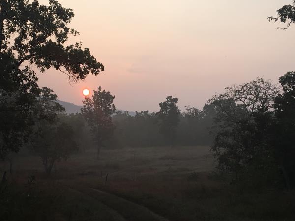 Kanha tiger safari & cycling tour, India