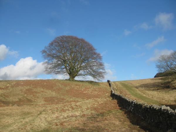 Northumberland walking vacation in England