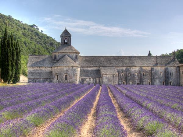 Provence cycling vacation in France