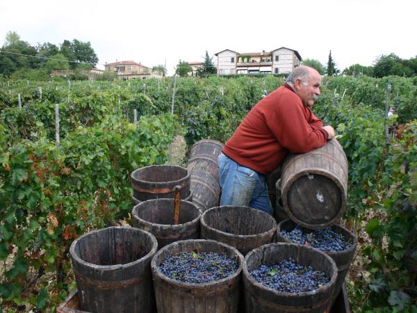 Tuscany self guided walking vacation in Italy